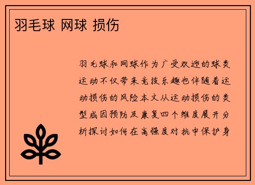 羽毛球 网球 损伤